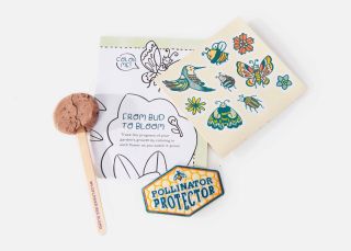 Pollinator Protector Activity Kit image number 1